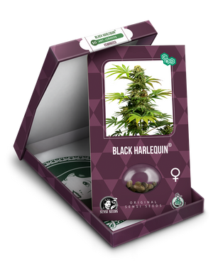 a box with a marijuana plant inside of it
