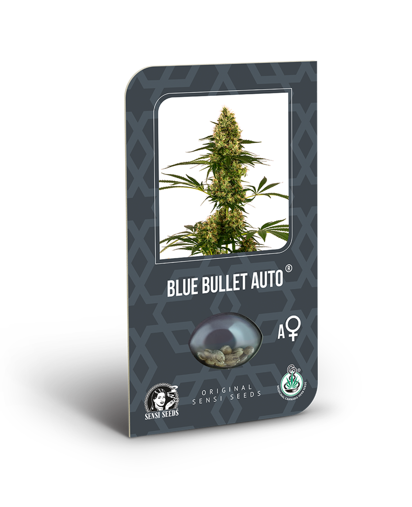 a package of blue bullet auto seeds