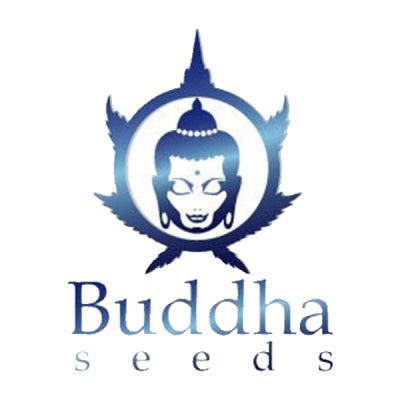 buddha seeds logo