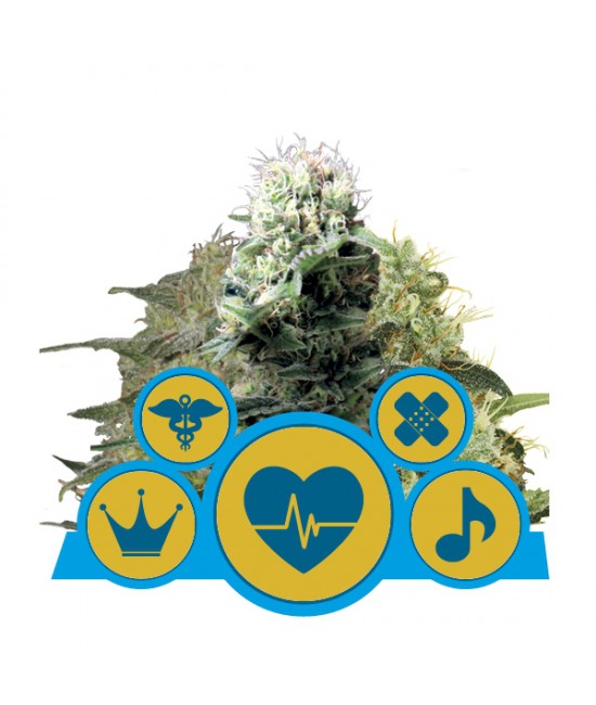 a blue and yellow sign that says medical marijuana