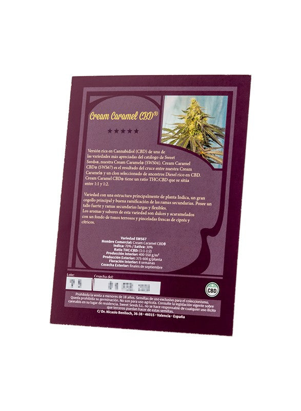the back of a card with a picture of a tree