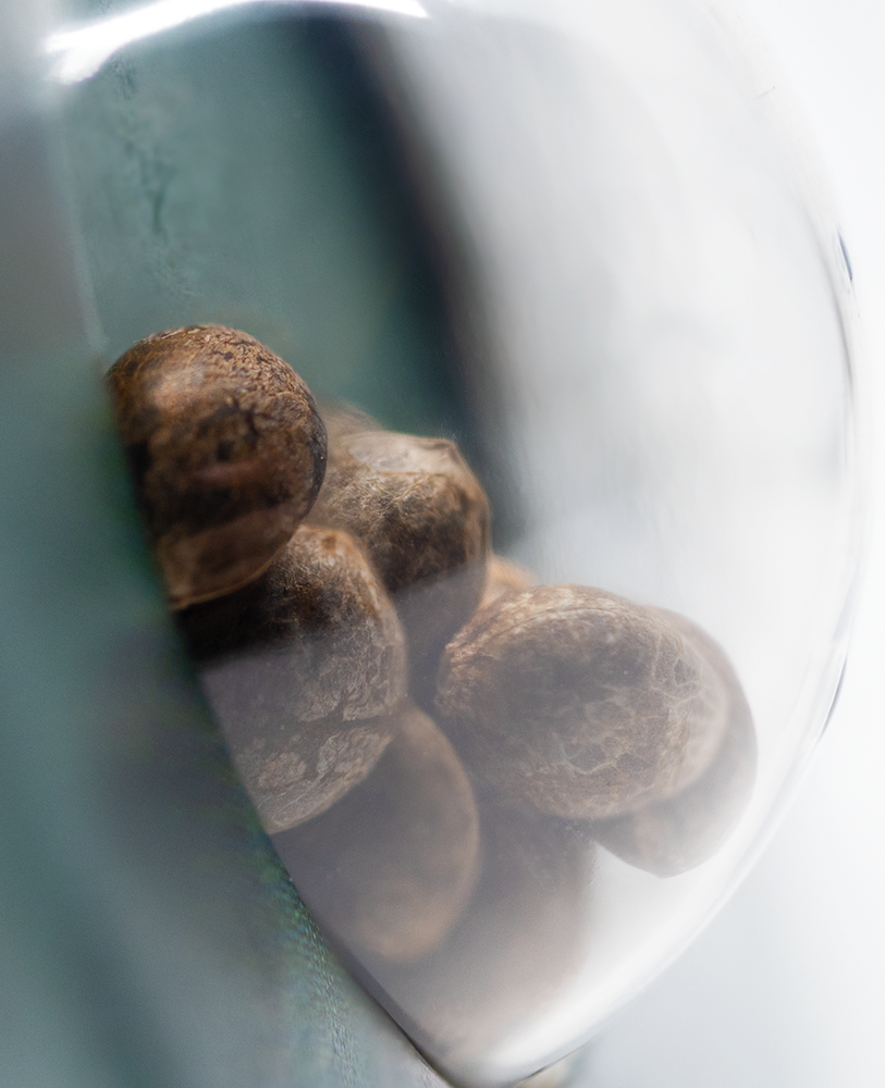 a close up of some nuts in a glass container