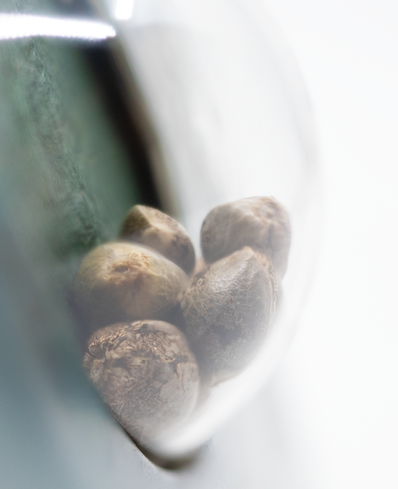 a close up of some nuts in a bowl