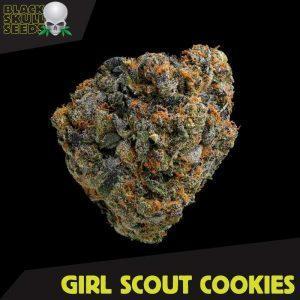 a picture of a girl scout cookie