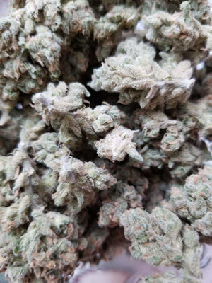a close up of a bunch of weed