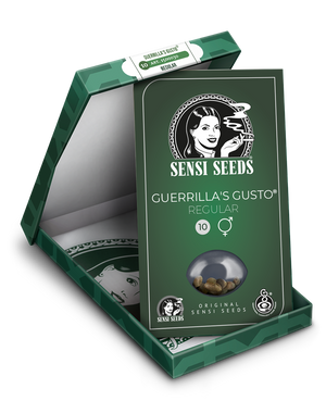 a box of guerilla's gust regular seeds