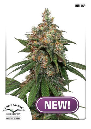 a picture of a marijuana plant with a purple sticker