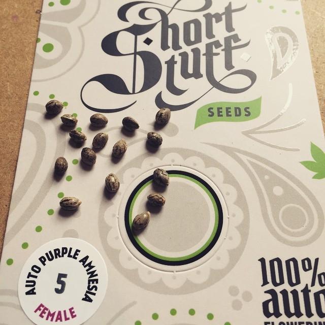 a seed packet with seeds on top of it