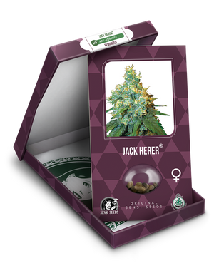 a box of jack herer cannabis seeds