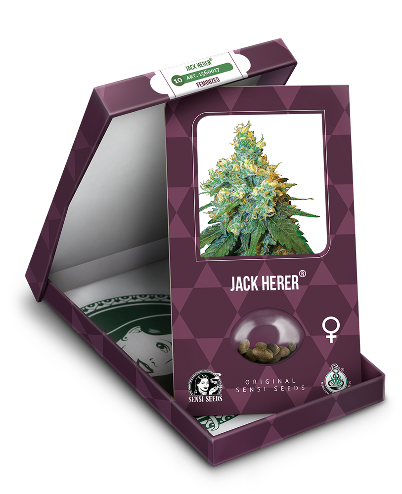 a box of jack herer cannabis seeds