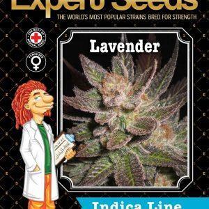 Lavender - Feminised Seeds