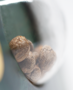 a close up of some nuts in a bowl