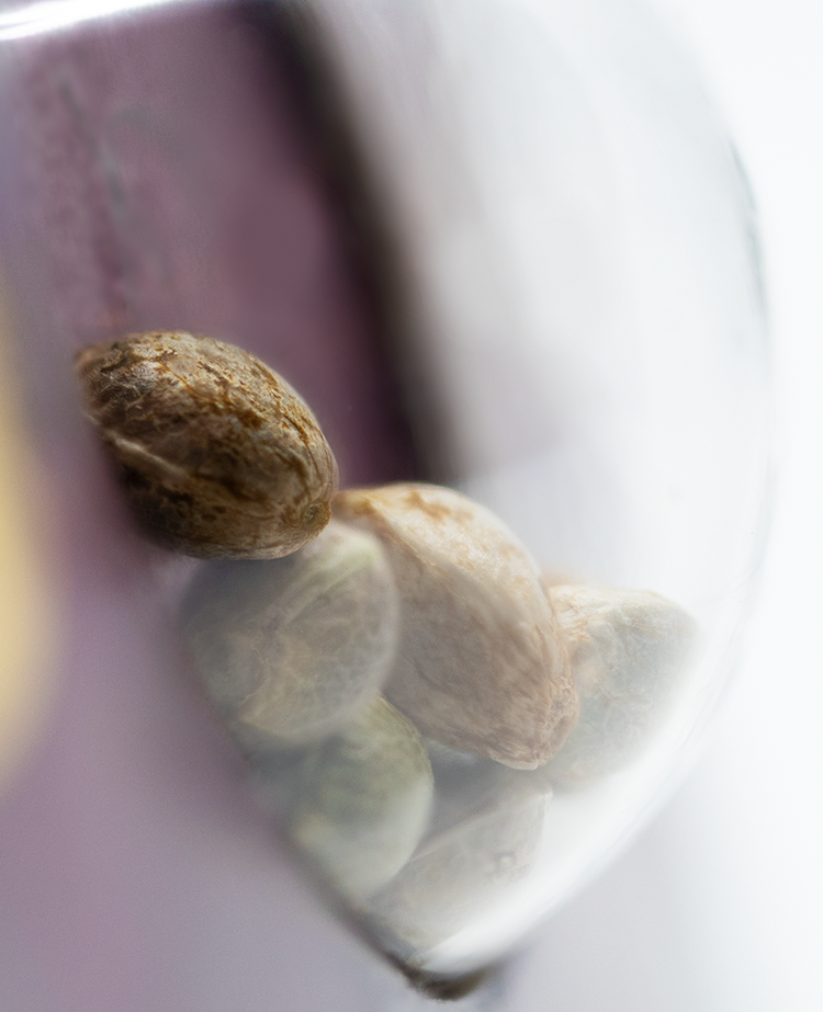 a close up of some nuts in a glass