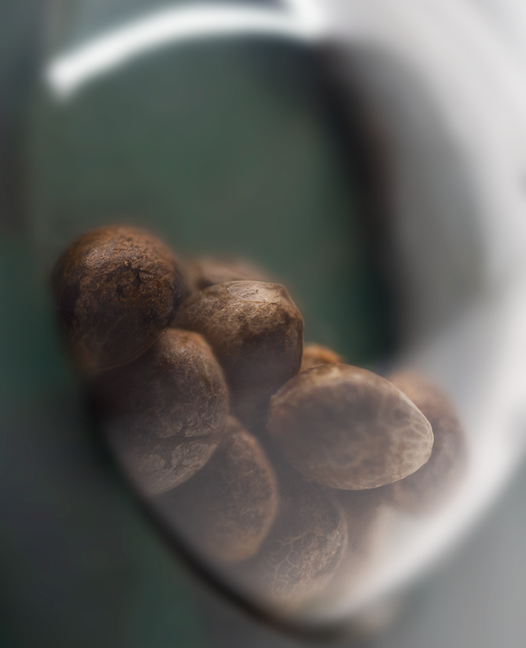 a bunch of nuts sitting inside of a glass container