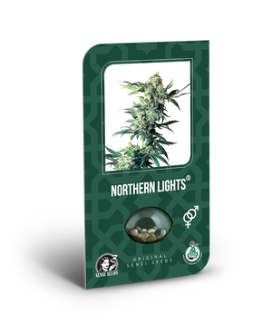 a package of northern lights cannabis seeds