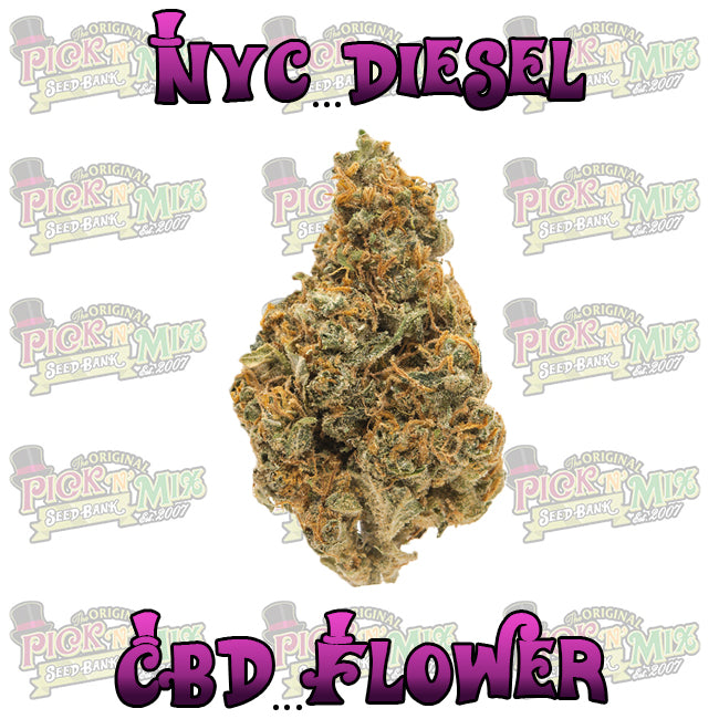 NYC Diesel CBD Flower