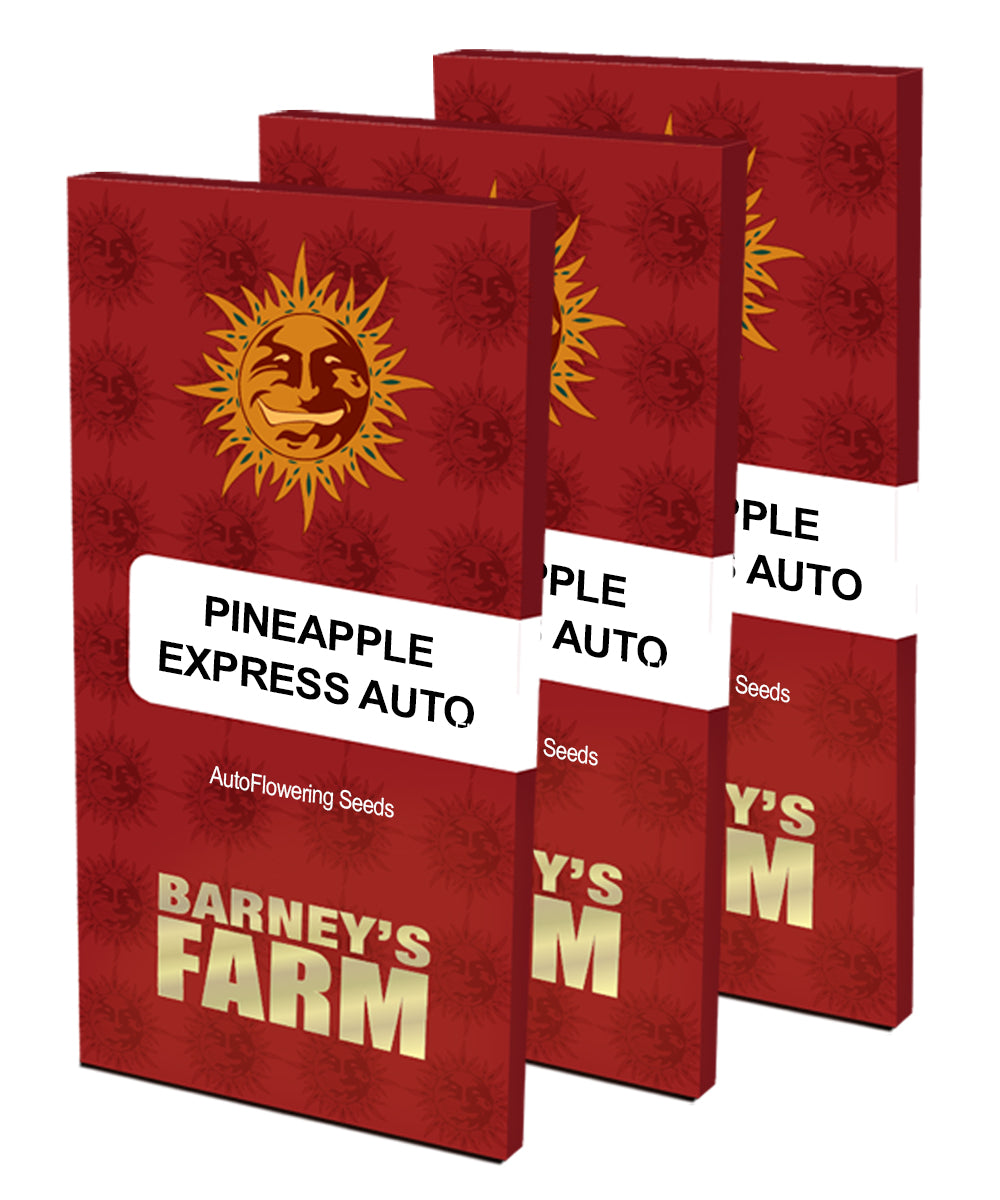 a set of three red books with the title pineapple auto express auto