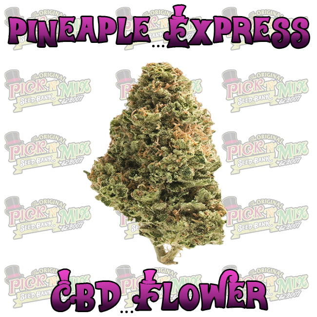 Pineapple Express CBD Flower