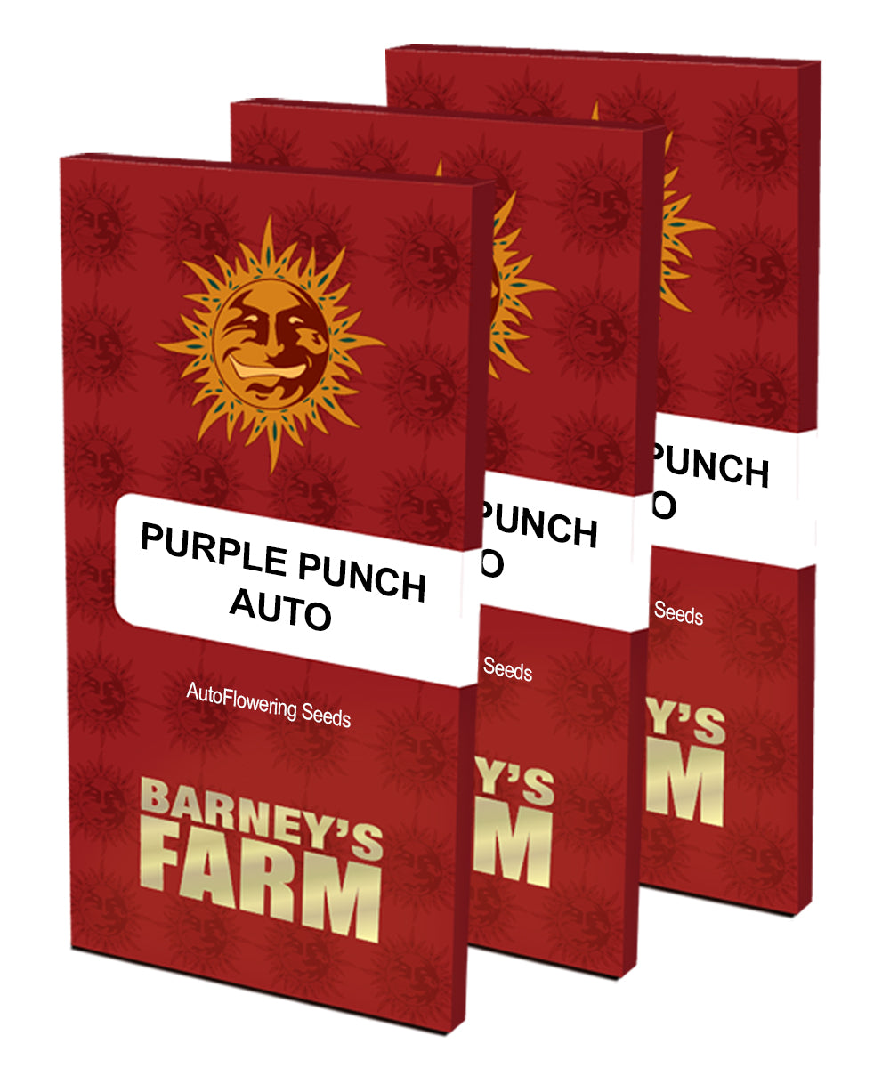 three books of purple punch auto by barry's farm