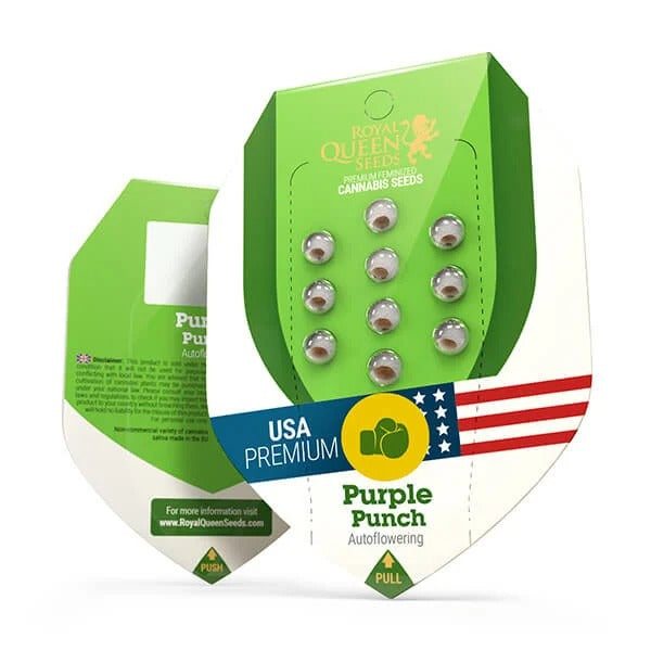 a package of purple punch in a green box