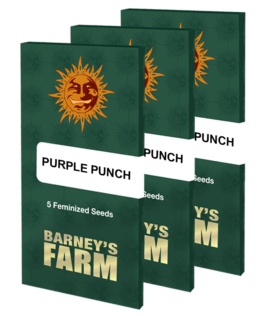 a set of three purple punch seed packets
