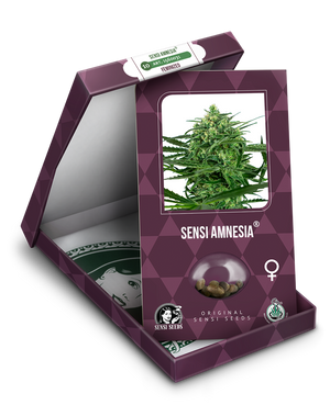 a box with a marijuana plant inside of it