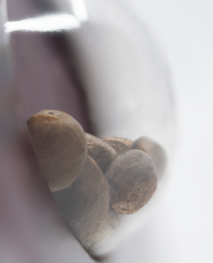 a close up of nuts in a glass container