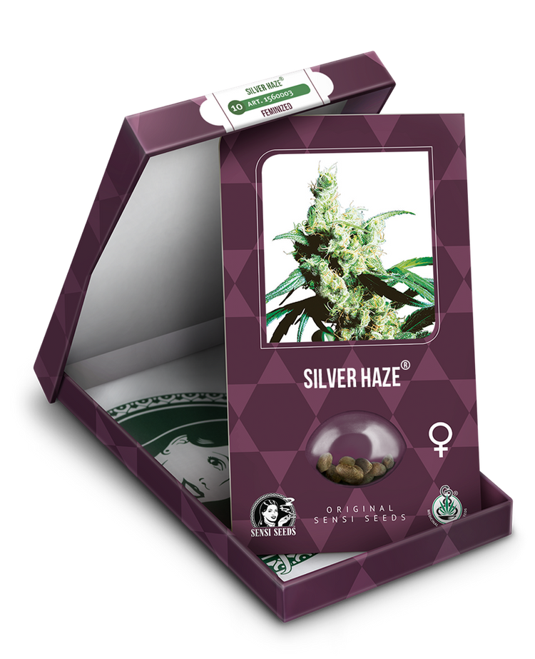 a box of silver haze cannabis seeds