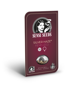 a box of silver haze feminized seeds