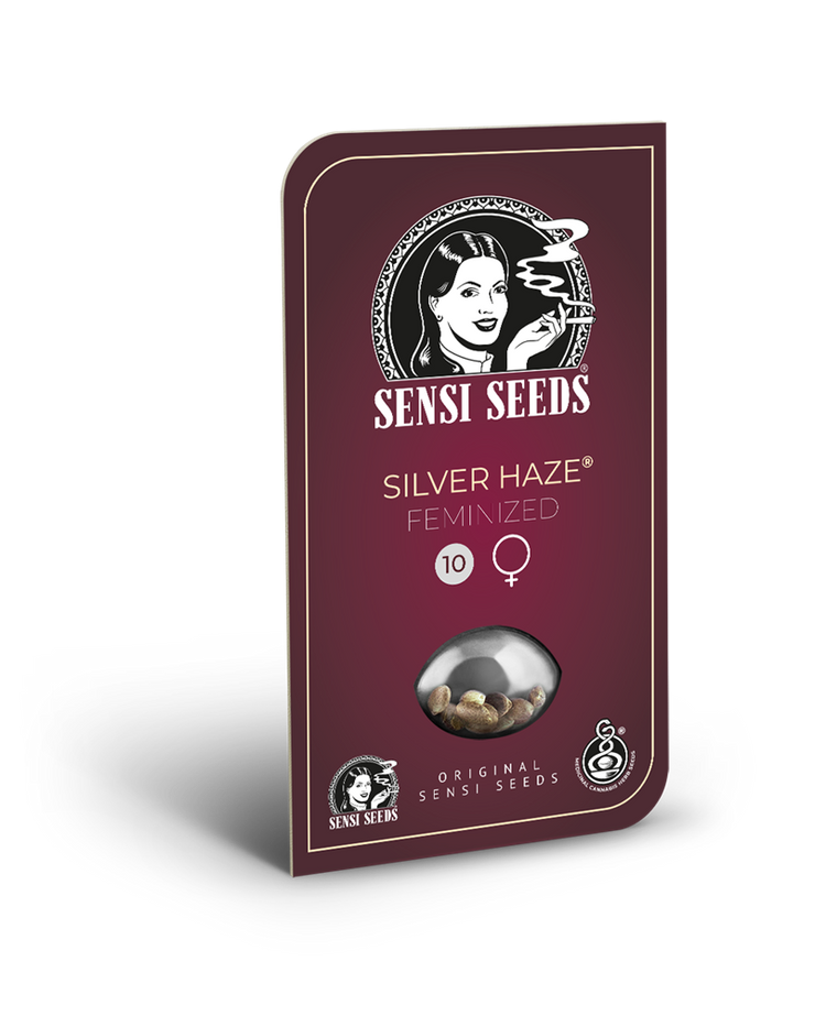 a box of silver haze feminized seeds