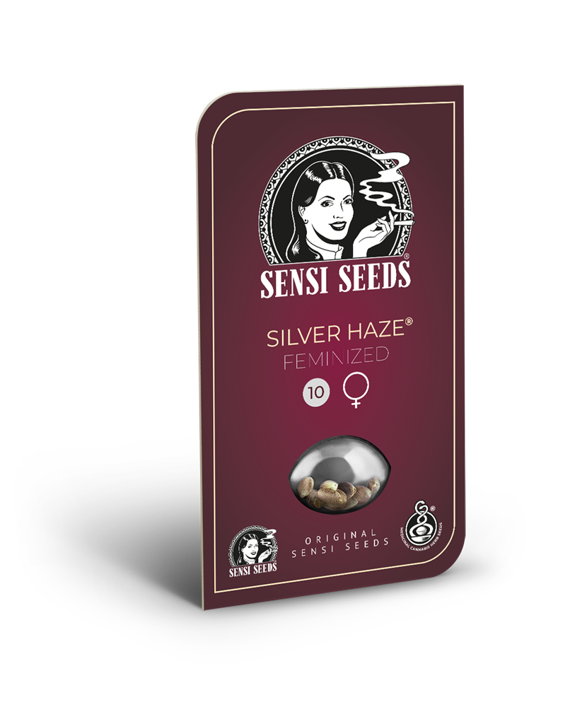 a box of silver haze feminized seeds