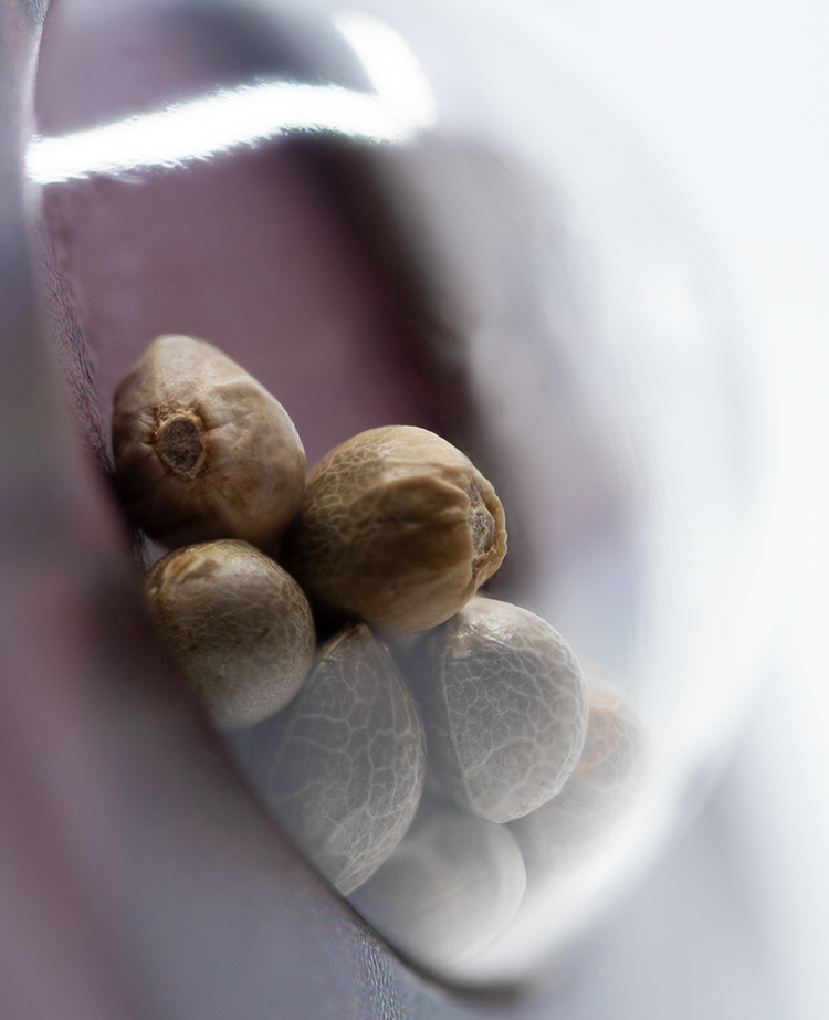 a group of nuts sitting on top of each other