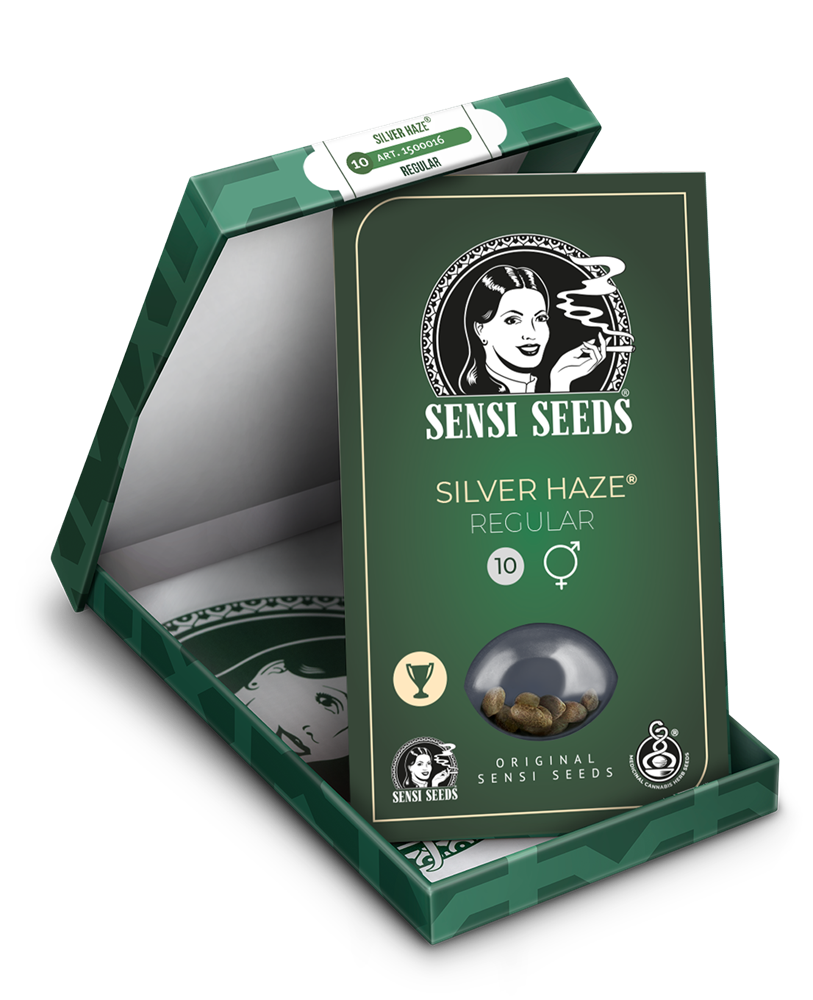 a box of silver haze regular seeds