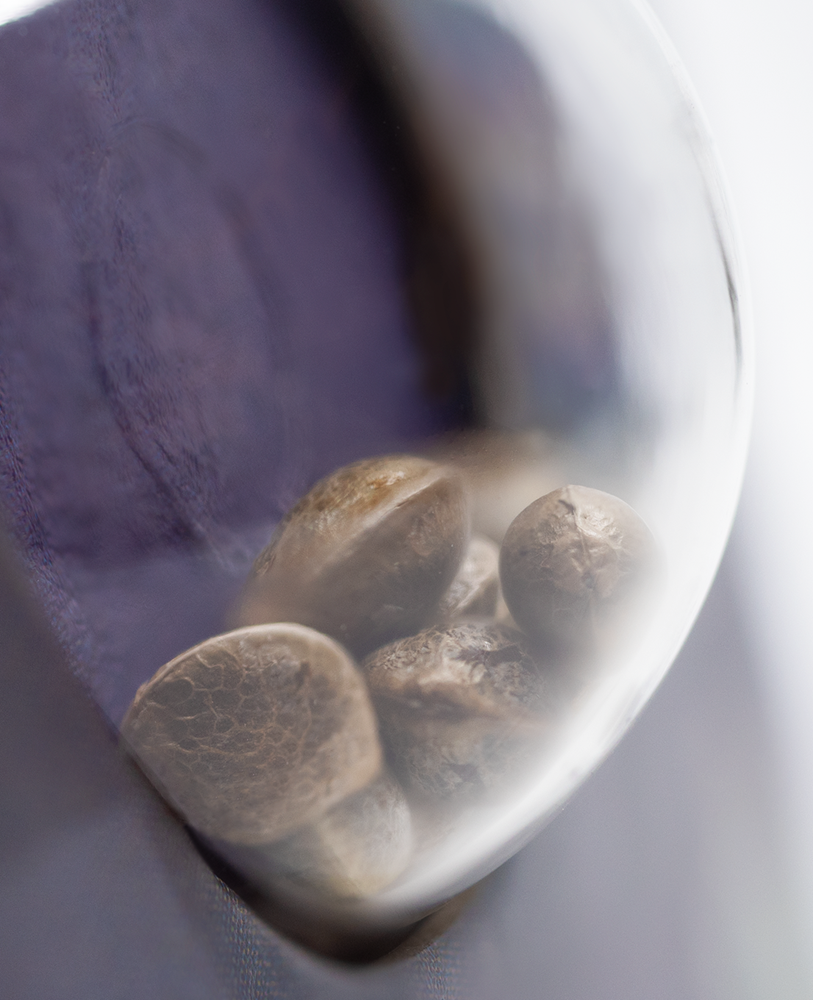 a close up of some nuts in a glass