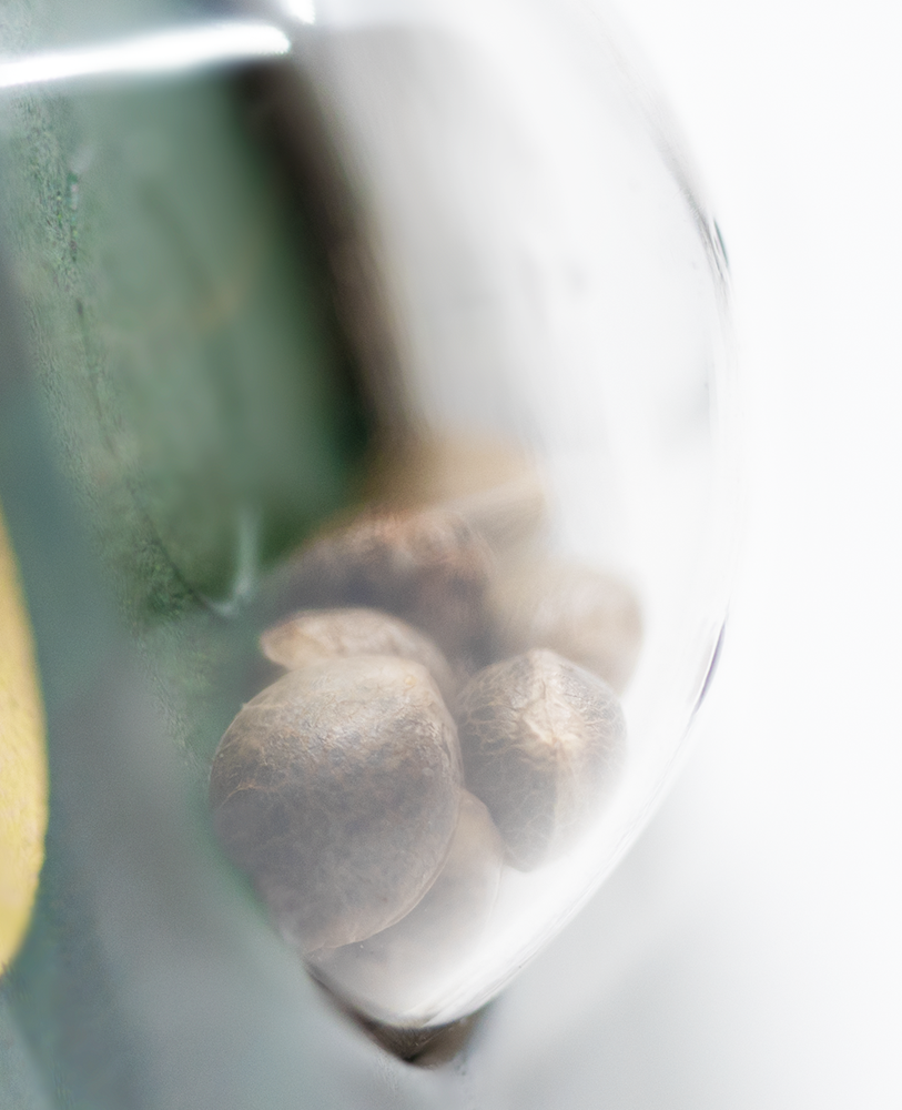 a close up of a banana and nuts in a blender