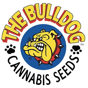 the bulldog cannabis seeds logo