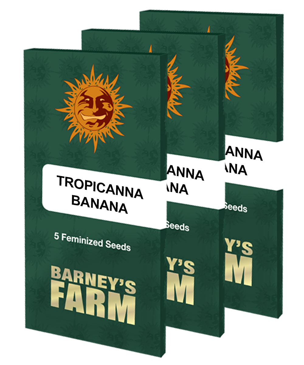 a set of three banana seed packets