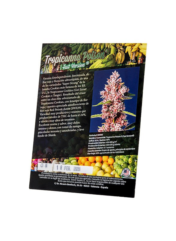 a brochure with a picture of a plant in it