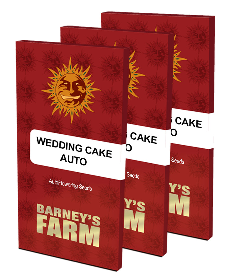 three red wedding cake auto pamphlets